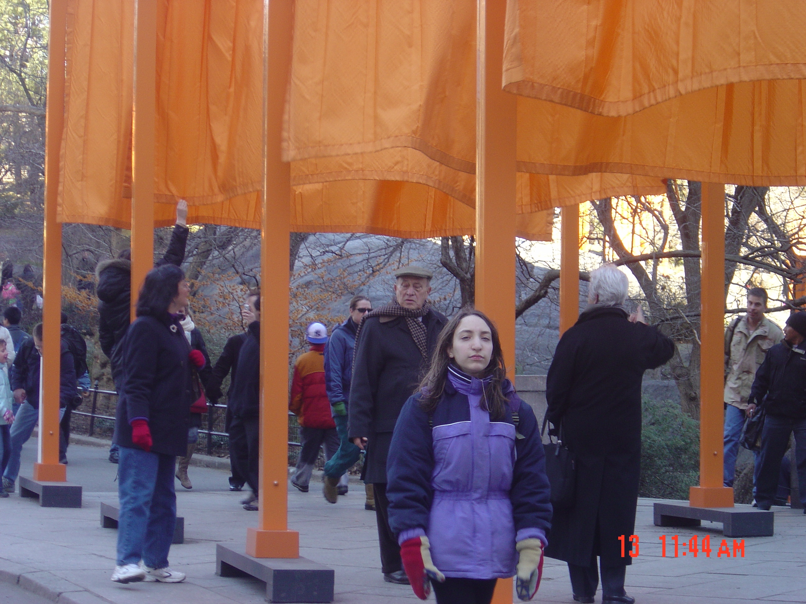 "The Gates" in Central Park, 2/13/05 